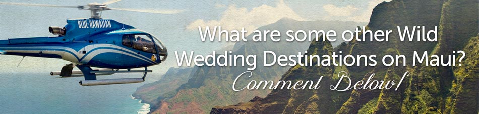 What are some other wild maui wedding destinations?