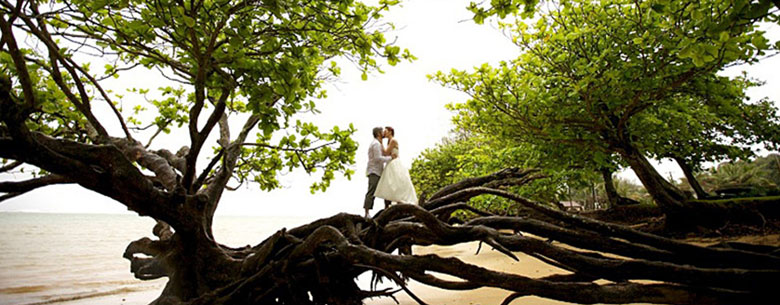 anna kim photography couple standing on banyan tree