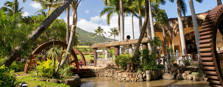 Maui Wedding Venues Maui Wedding Network