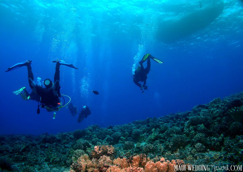 scuba diving Maui