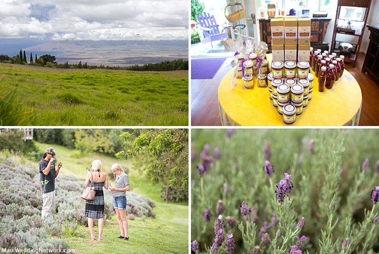 Maui Honeymoon Lavender Farm