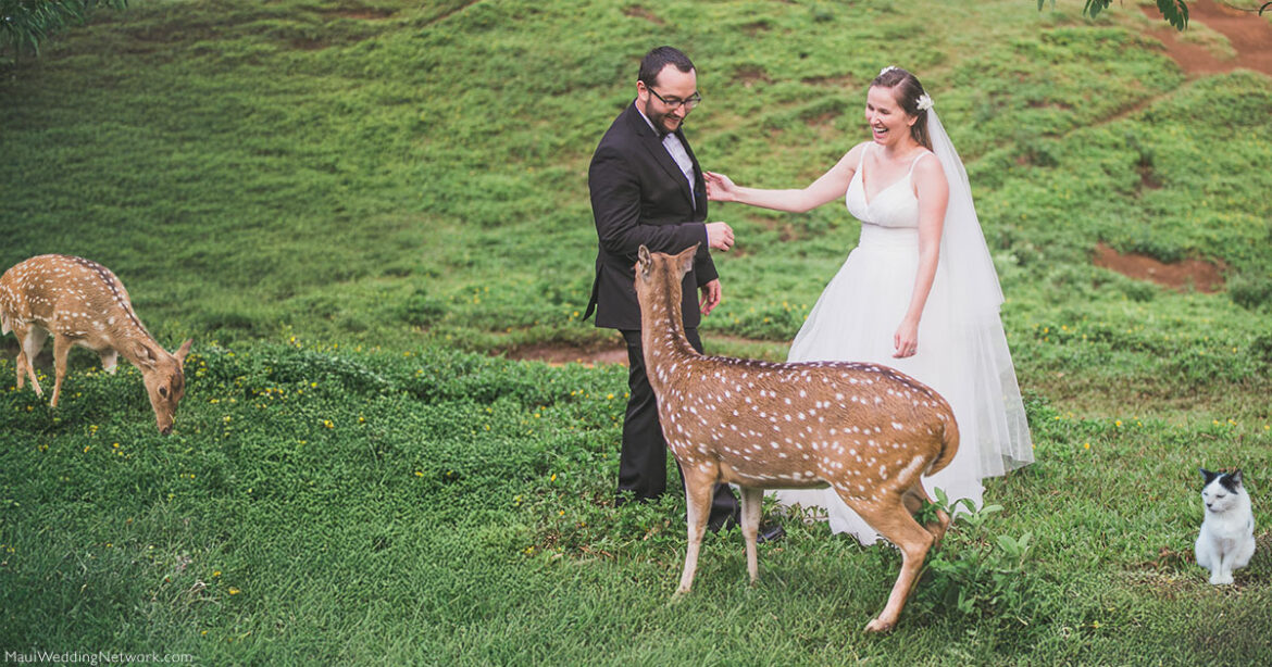 Maui Farm wedding