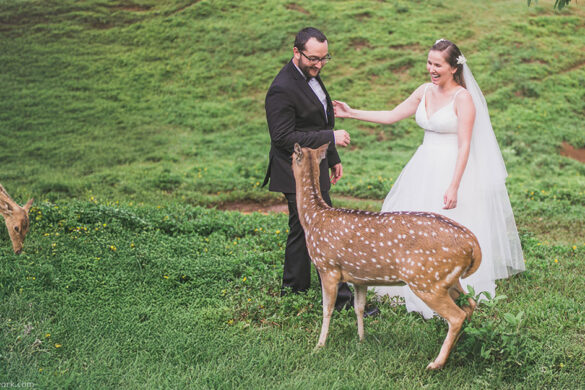 Maui Farm wedding