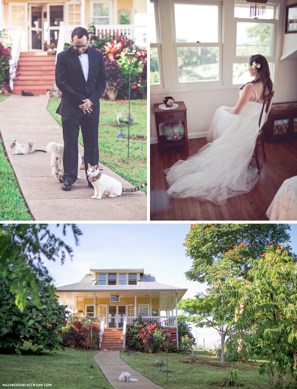 Maui animal Farm wedding