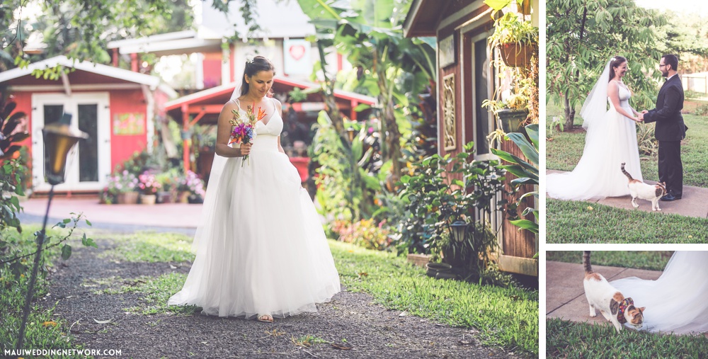 maui wedding at farm