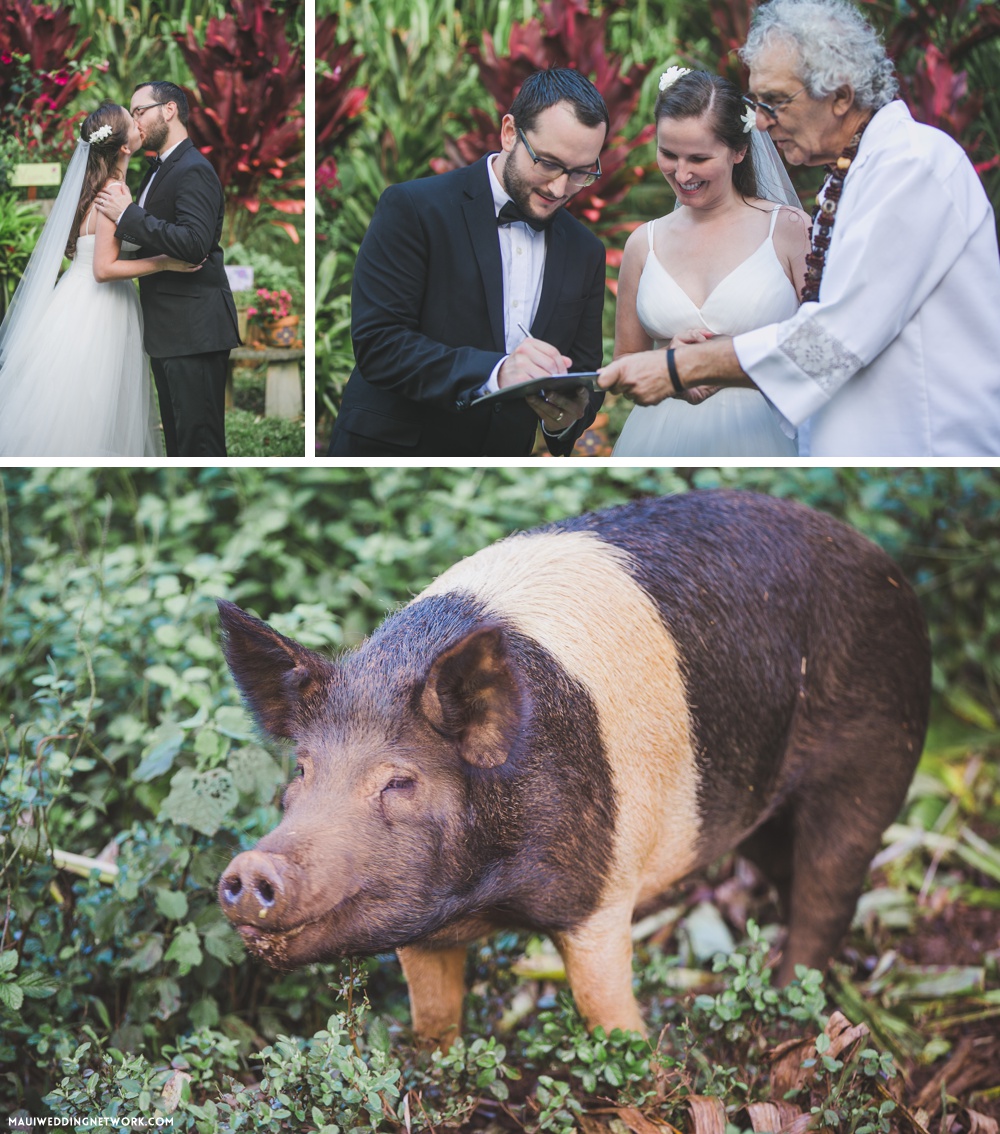 Leilani Farm wedding