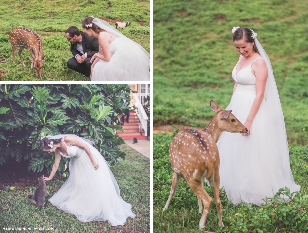 Maui Farm wedding