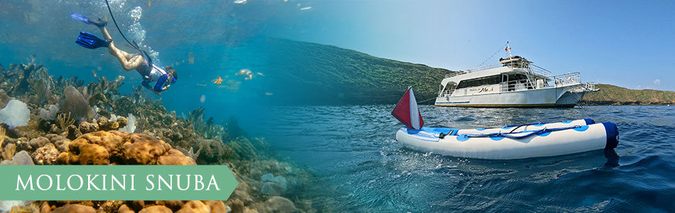 Molokini snuba